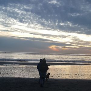 Meet your Posher, Josephine